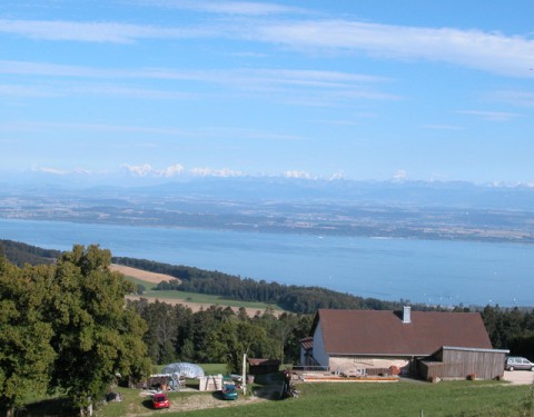 Panorama